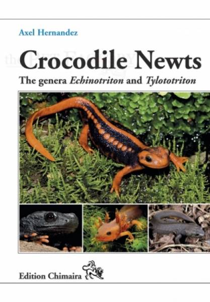 Crocodile Newts - The Genera Echinotriton and Tylototriton